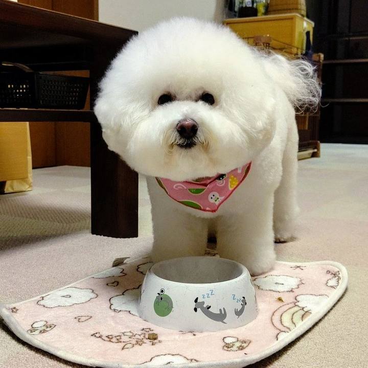 428babe7 8aec 4a70 ab32 fd258c524cc5 1590490782987