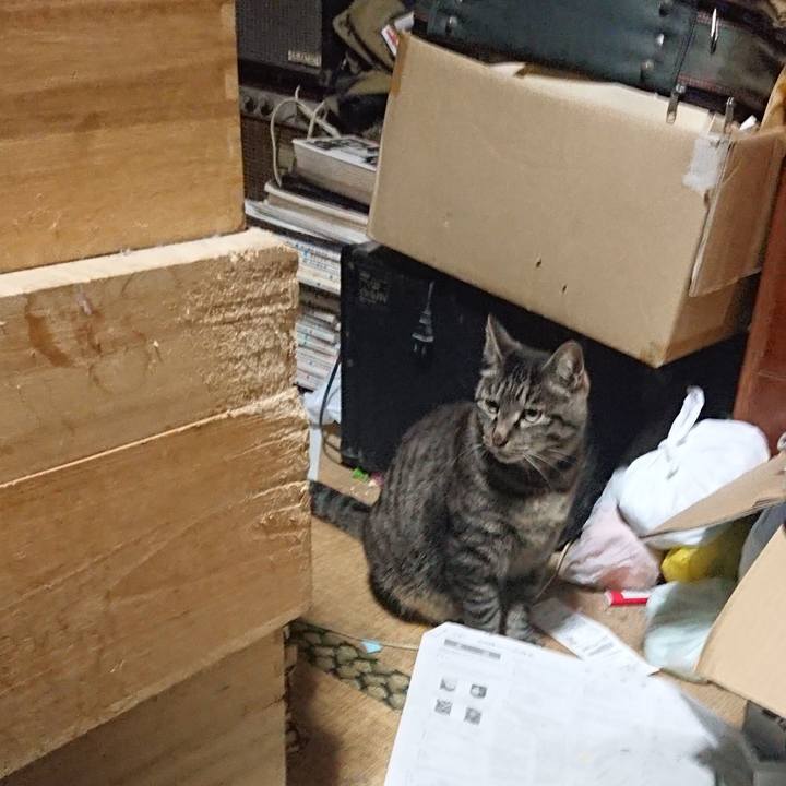 428beb8e c815 48e6 b90b 76bfe58e7043 1654867157835