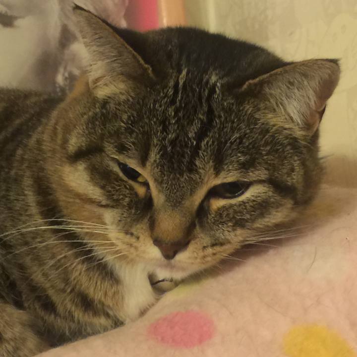 428bee75 7359 495e a01a a9685baf3bab 1551626360544