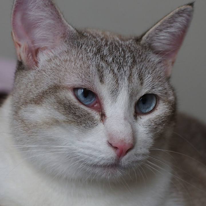 428c7b85 6e8f 498b 81bd 6d863b27eb9b 1535241285930