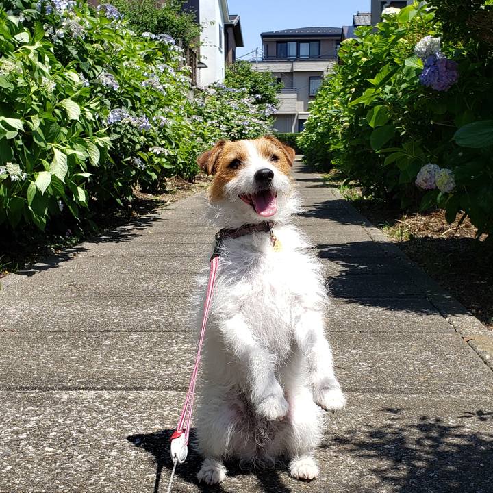 428c8be9 ae5b 4cb6 8c0f a11a6af2292b 1590810575966