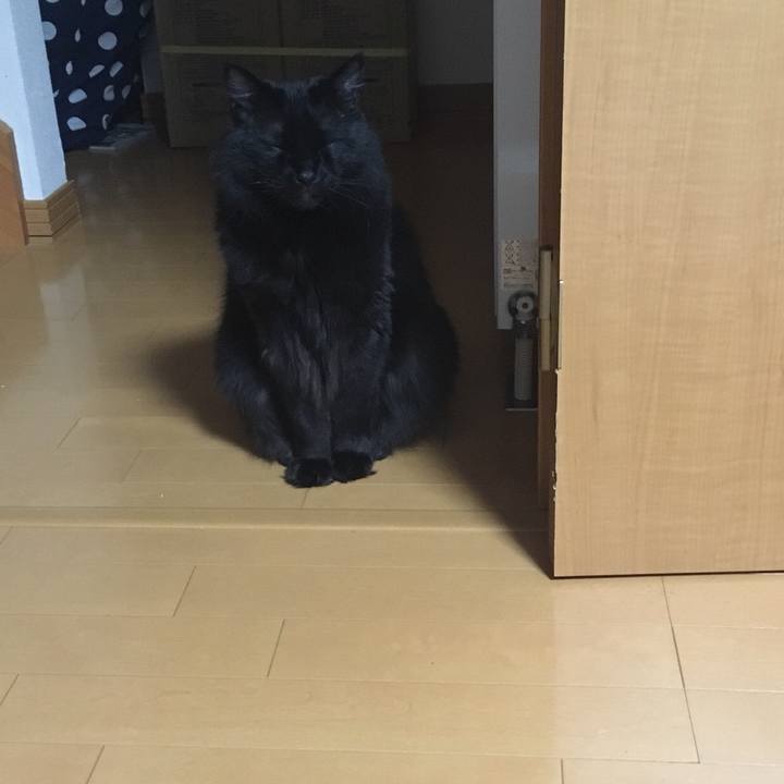 428c9f68 07f7 43ae b15f 1eba2b618c5e 1521044229994