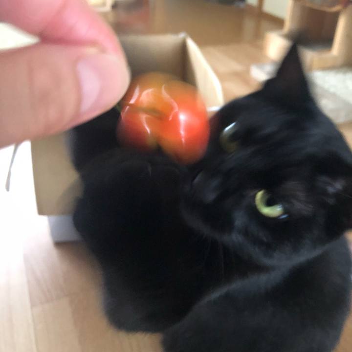 428cc49b 547e 4f90 a5f9 3e24967dca54 1561076779476