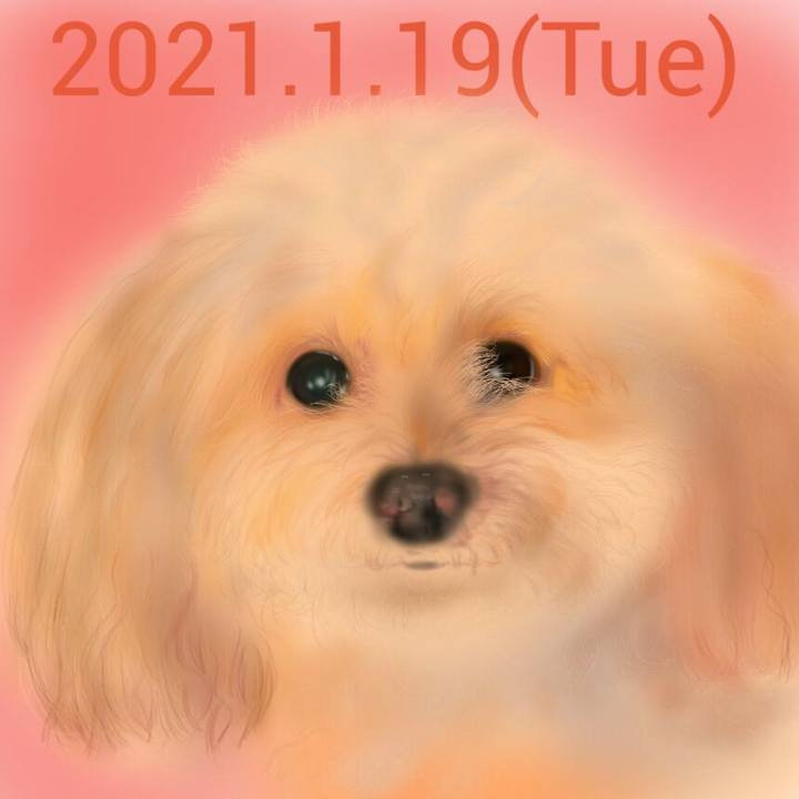 428cd619 283d 4ae9 a5d8 3f472e6712c6 1611053576570