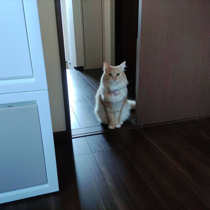 428d2b06 6de0 48f9 aaa8 fdd94ece1ca8 1669508716592