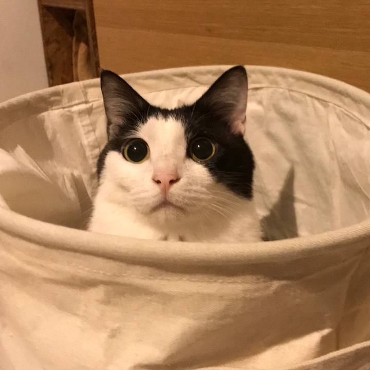 428d2d23 5d31 4939 bb8d 7e0b77f116aa 1562155129862