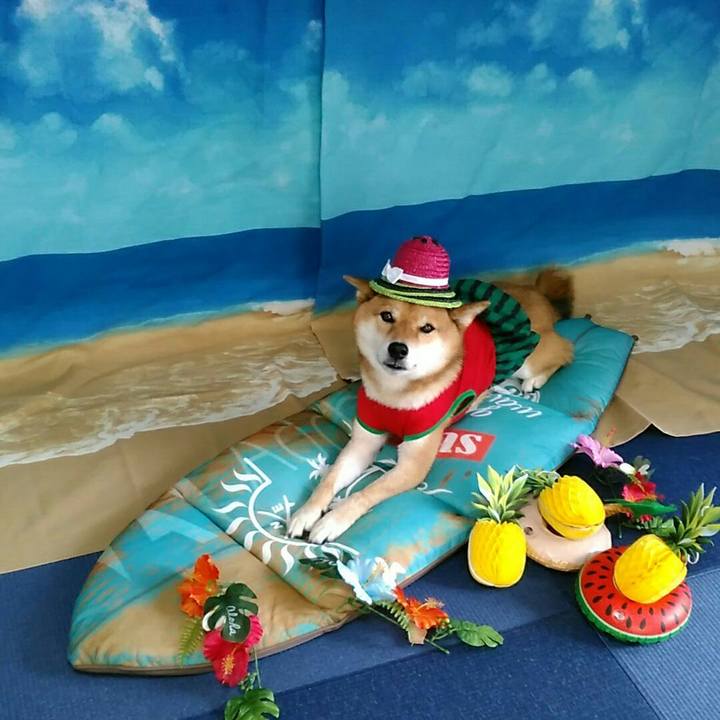 428d3db5 9ef1 45a5 a987 6c975d372525 1563516418586