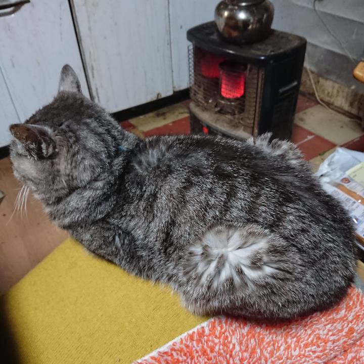 428d42c3 2406 4761 a18e 8438368703d1 1572950599056