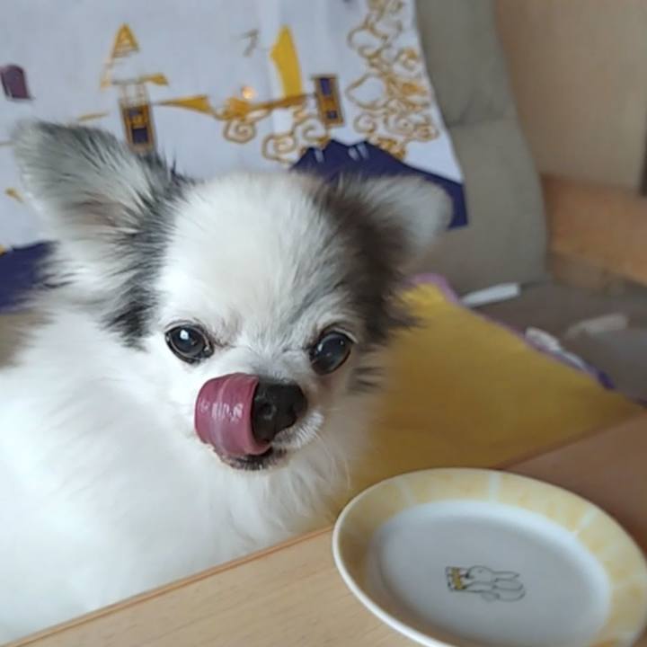 428d476b cf6d 4a9a a7e0 99fd805708ed 1763171220888