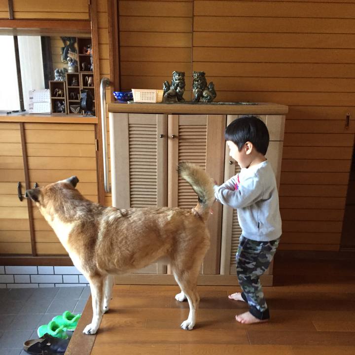 428d74ae ebf7 45b0 a8d3 6b610db25cc5 1553337506967