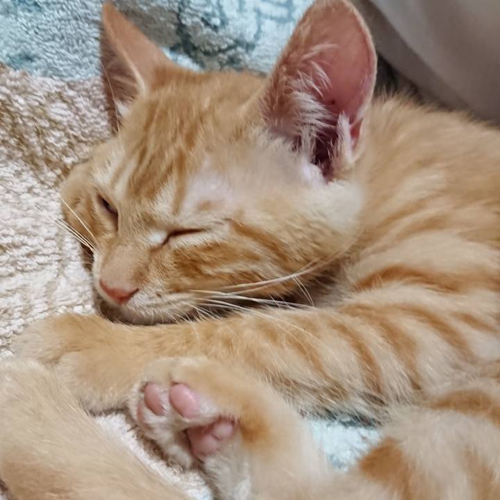 428d75d2 6e8b 49c6 b93e e4c3a1ea5d2c 1632231724213