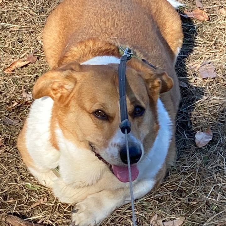 428d8af5 b3ed 406c b5d6 9922cd10b22f 1737254954677