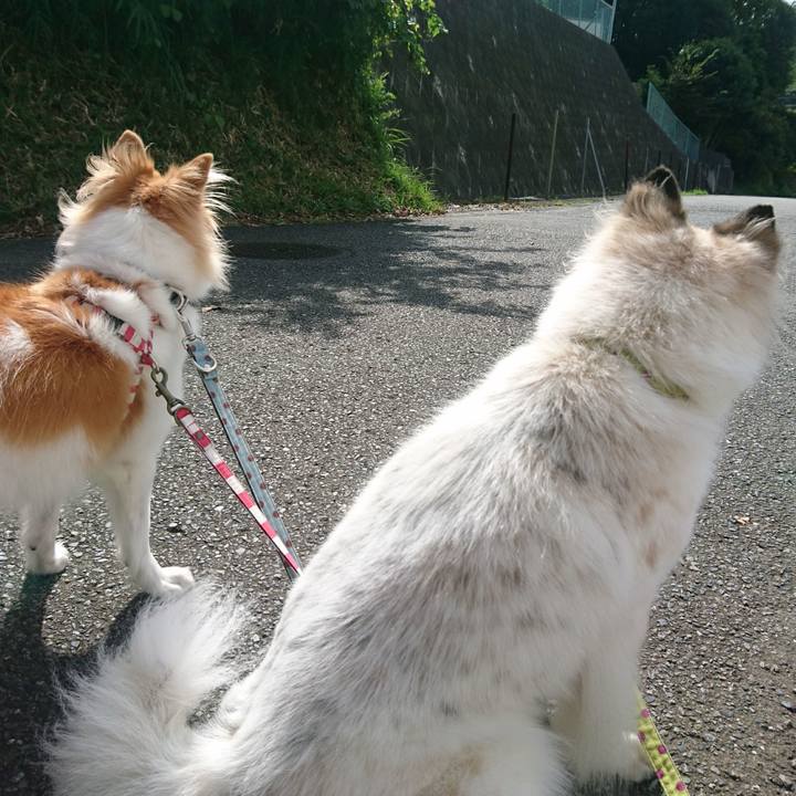 428db0f6 2d7b 42a4 86a6 b72180dd6398 1569151703706