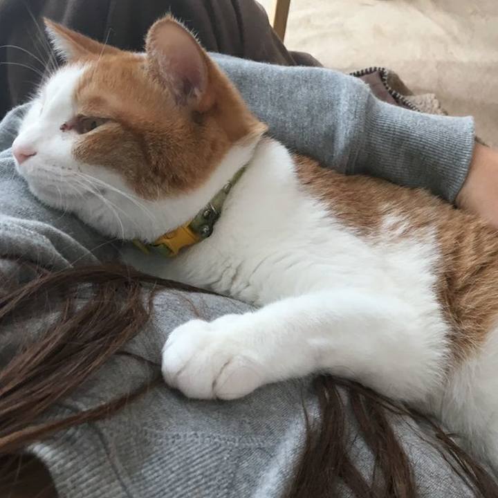 428e204e 5162 492c bbb5 de5c3ec0e0c9 1544014467753