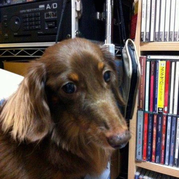 428e2a5f 7fc2 44d7 9c24 5f19056289cc 1631949360581