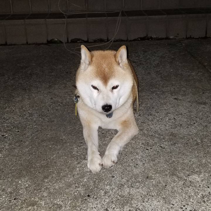 428e441e 7f5e 410f b3a0 a1b5718a2899 1638363066791