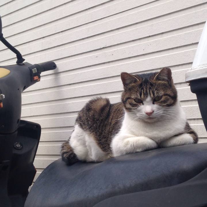 428e5163 655c 4dd5 afa7 5c0c86df2173 1510736485021