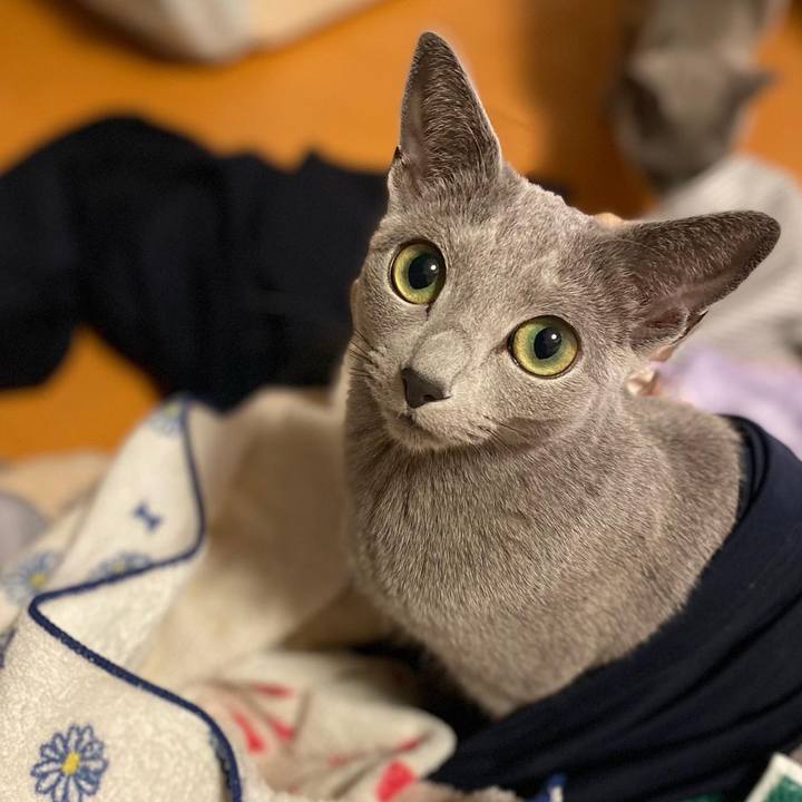 428e9191 52fb 416c 9817 ec53c4a71219 1644147733865