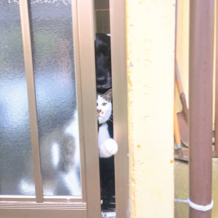 428f13f8 e77a 40bc 9611 852cf52217f0 1557016457368