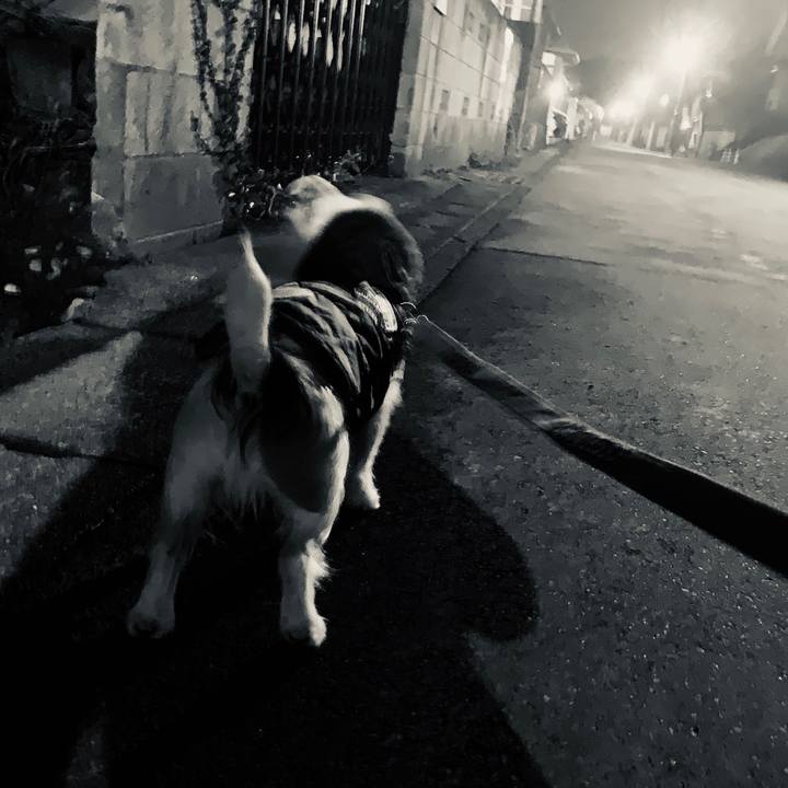 428f4a92 254e 4d92 88d7 67c793a31bca 1550232618401