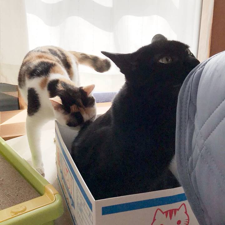 428f77e1 4165 4c26 a6d9 b8d644c3e474 1536245530470