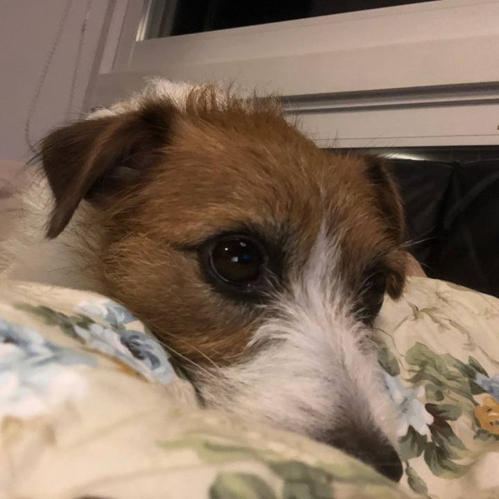 428f8177 6c4d 49c1 a8e3 5f9606fcf8ef 1573725785813