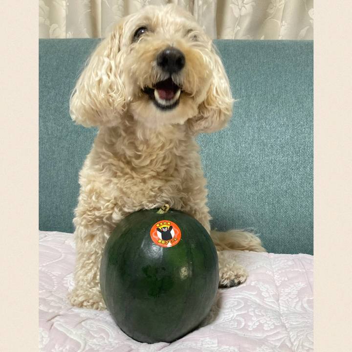 428f94e7 9b57 44d8 b8a3 c19188541d2c 1780634630626