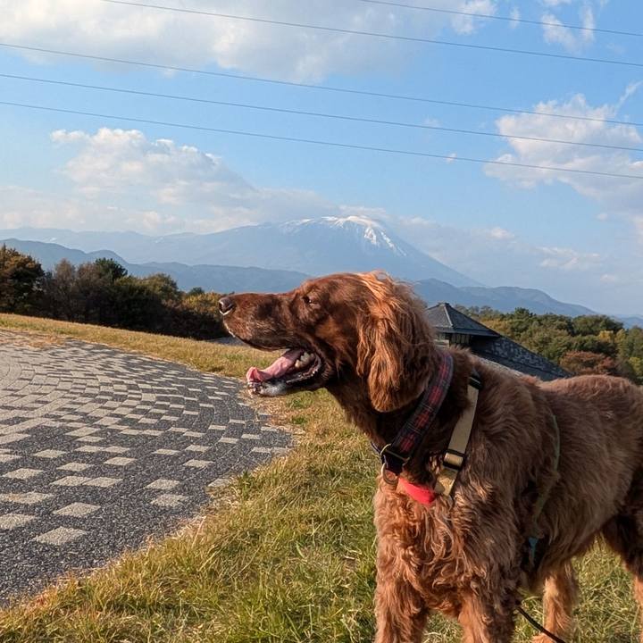 428fbf4f 0fb3 4301 bc64 2aaafcfcd4fb 1761730526091