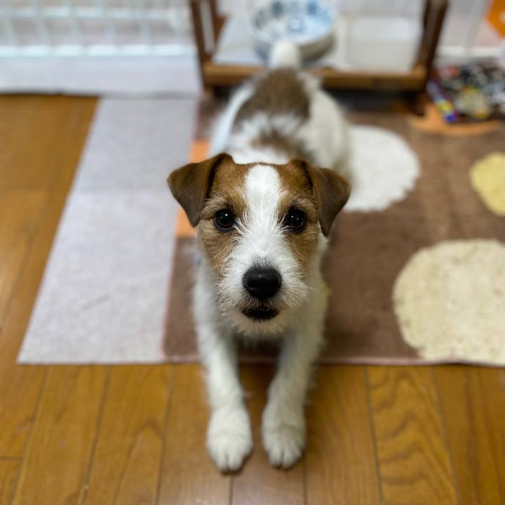 428fc050 1b6c 4331 a458 9757052d293c 1738623372029