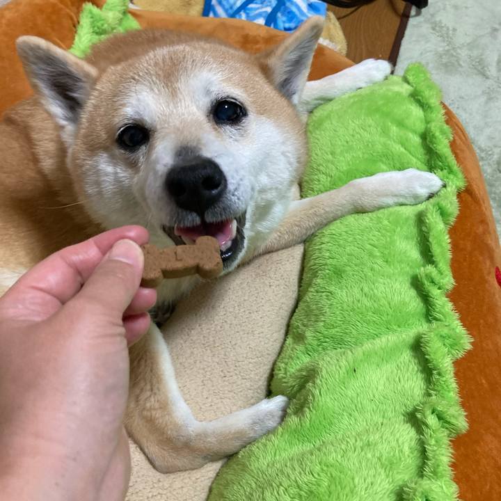 428fdff9 5f98 4389 b614 8000984f45a8 1619877357426