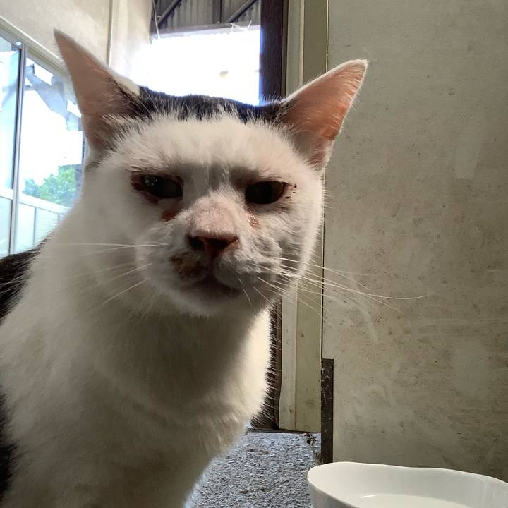 428fef3a 5103 42d0 b063 de10b0723bdc 1599655296986