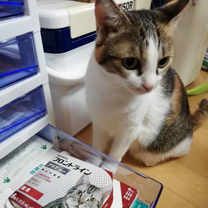 429011b0 9493 4255 9ddb 2945bd458fbe 1599258533827