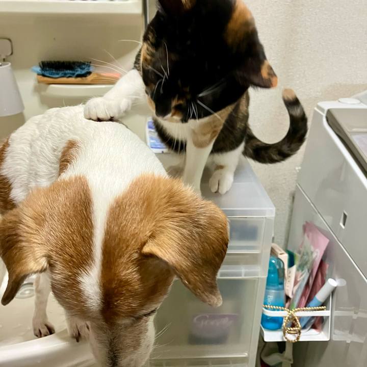 42902589 ca38 40a0 9636 93a5139600e6 1705193054055