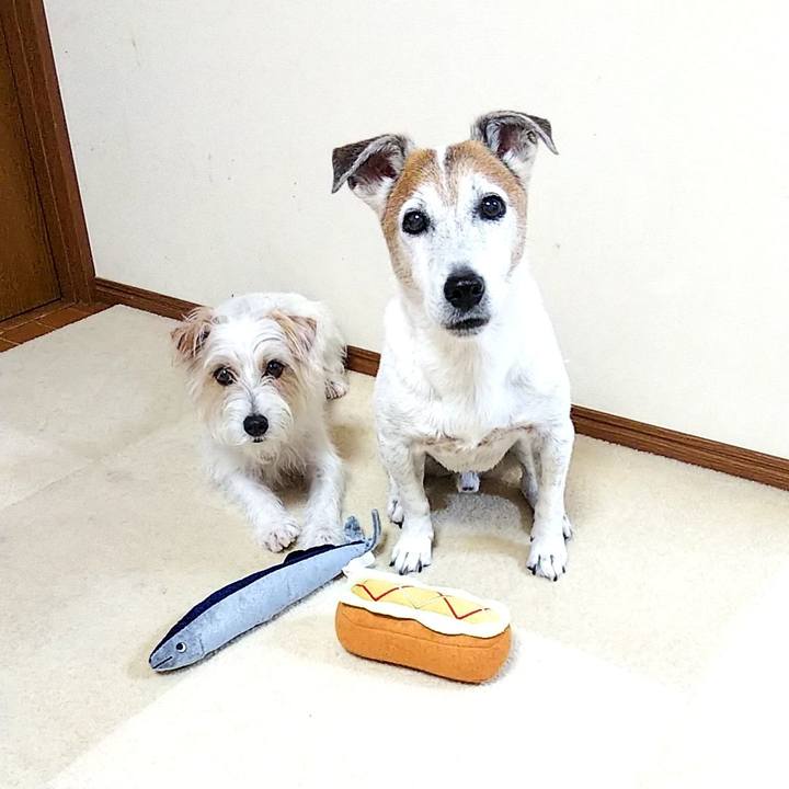 429043f3 0894 4b16 bbc0 95a40201dbf4 1563025084227