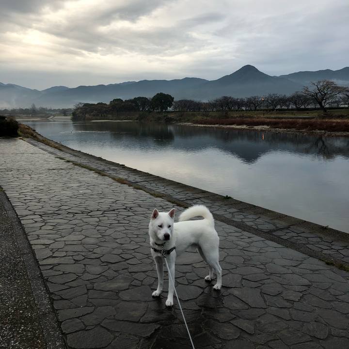 429053ec 5626 4b64 b7ce 68b4e8de146f 1577319944979