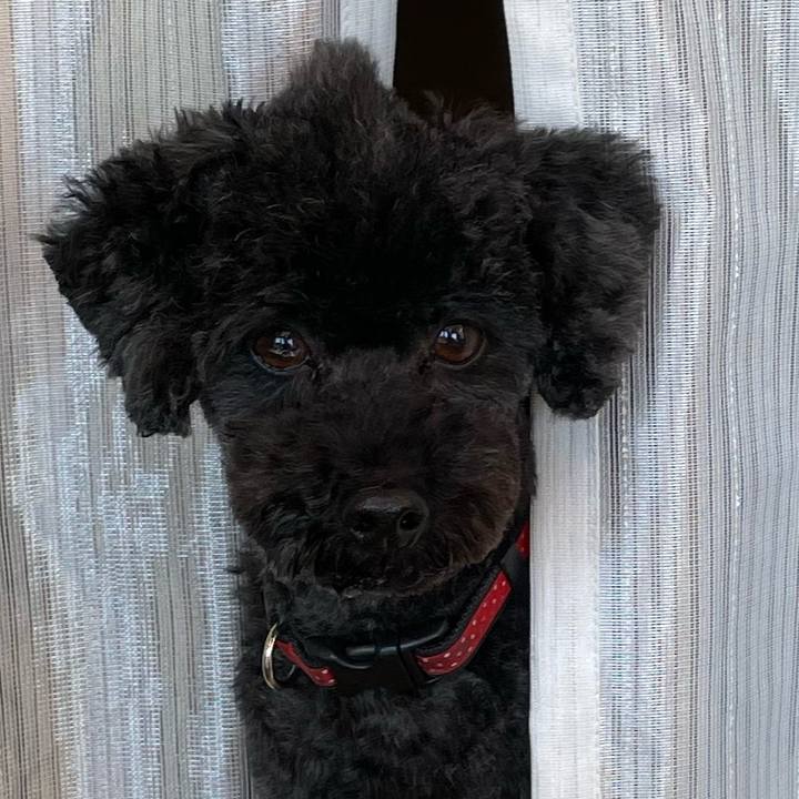 42907ed9 d280 4fd7 9ebf e38e25fbf4b2 1673066802745