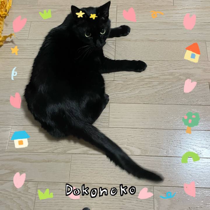 4290812d 3190 4b1b 95a7 73cc0f453cd5 1741089456716