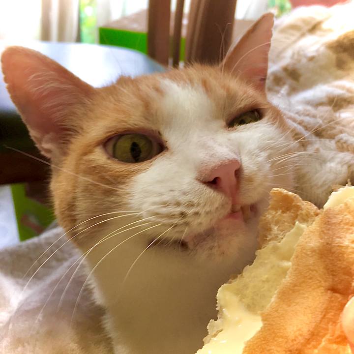 42908d85 86d4 492a 8a53 930088adfe6b 1603077557328