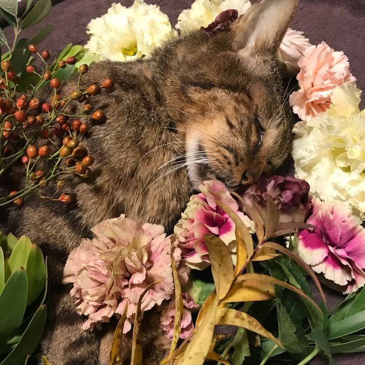 4290bc76 eaef 4028 be49 a4a0b81b772a 1539350789761