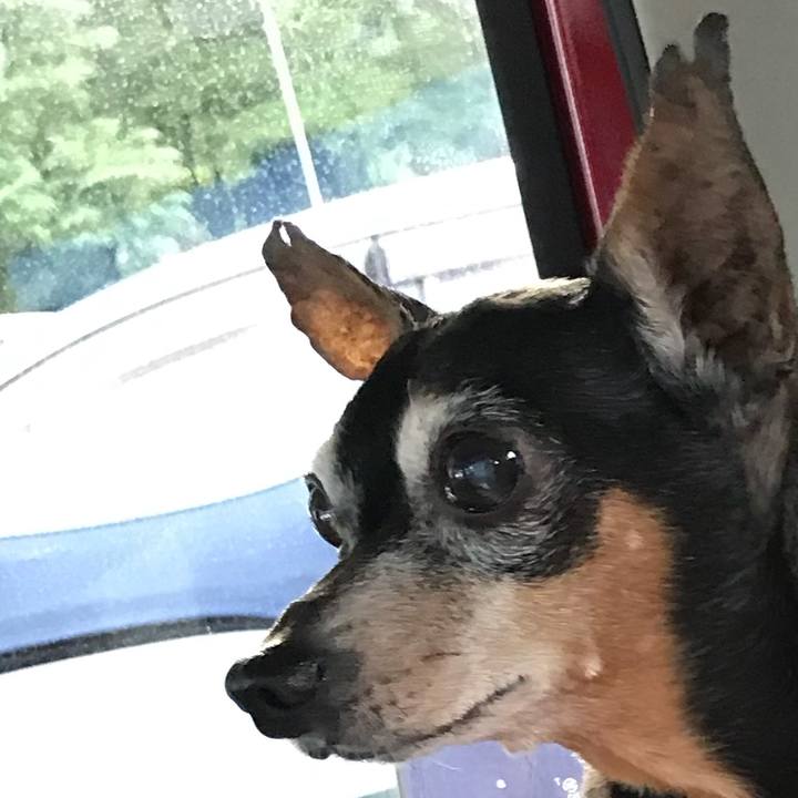 4290bf6a 5c56 4207 b5af 2505f4a7cfab 1534544718176