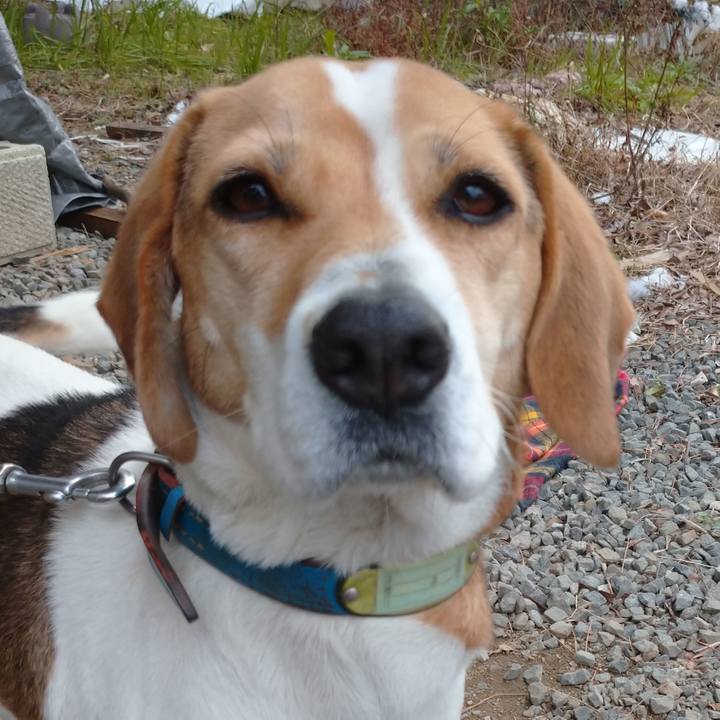 429109b2 51eb 4452 b25c ed0c65665ed9 1612678725014