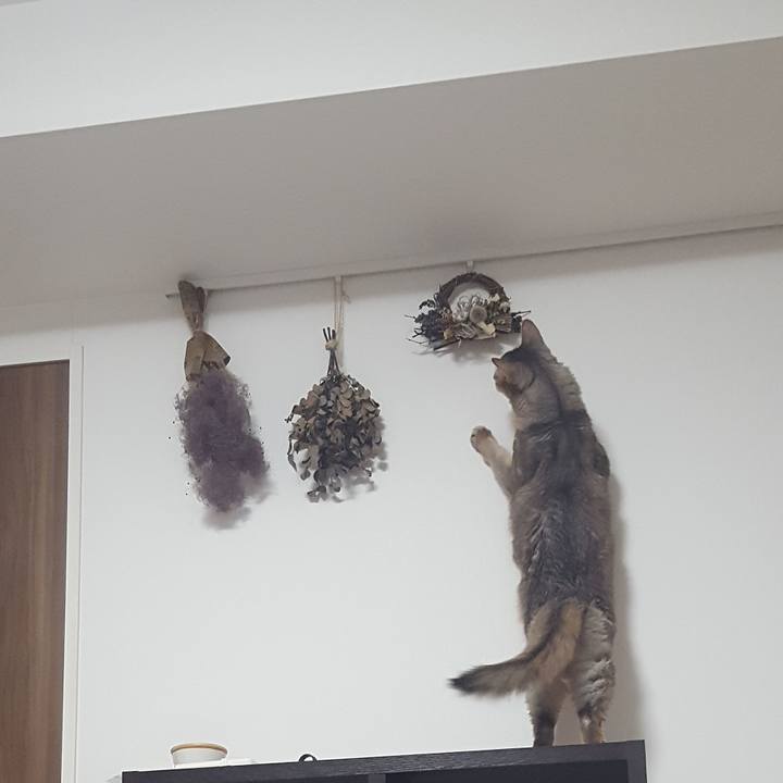 42911e62 1076 4d7f b820 750879d82324 1580996895096