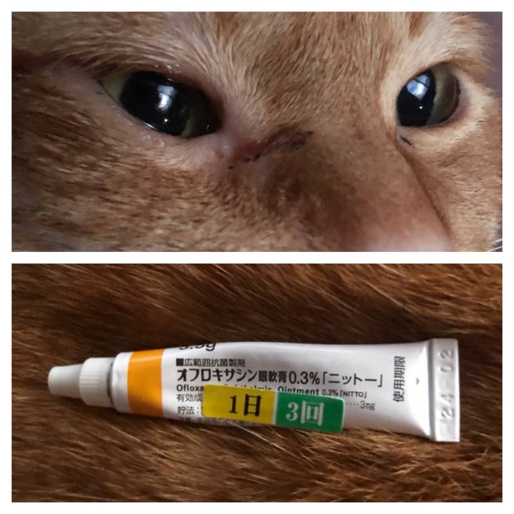 429131ad 129a 473b be90 2511b313eadc 1644481143356