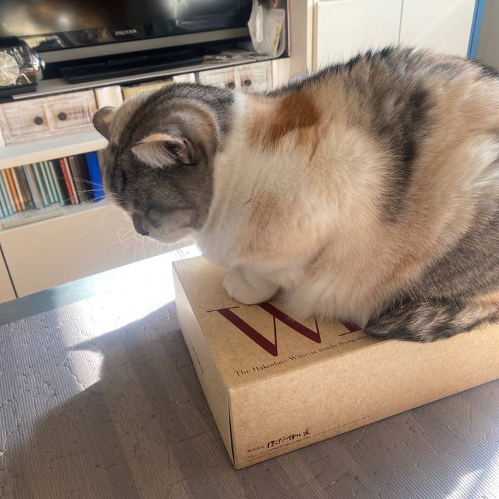 4291adec 546f 4092 aa45 f50cbfca49d5 1671845312892