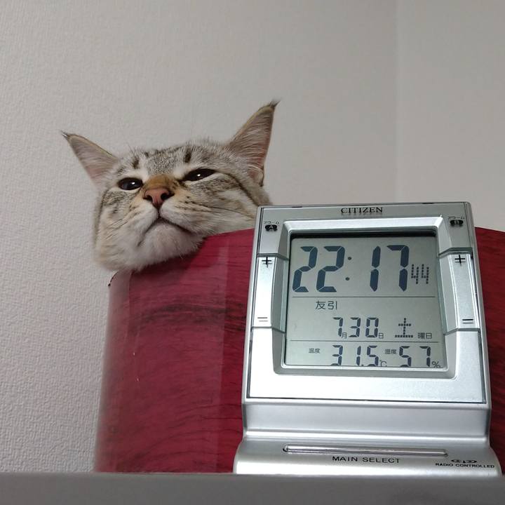 4291c071 6428 499d ab97 0b23e3b34d22 1659187105444