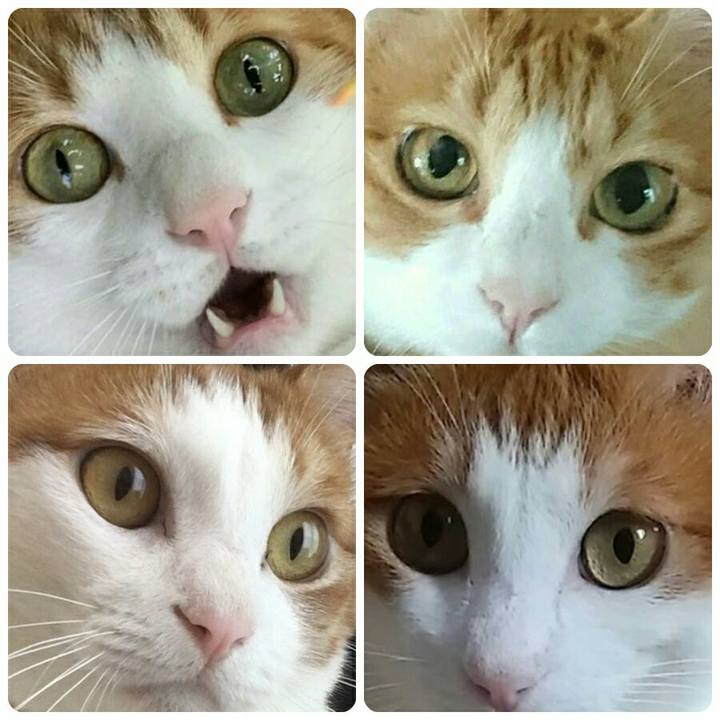 4291d11f 8518 4597 a3ec 695e2028a413 1509886083977