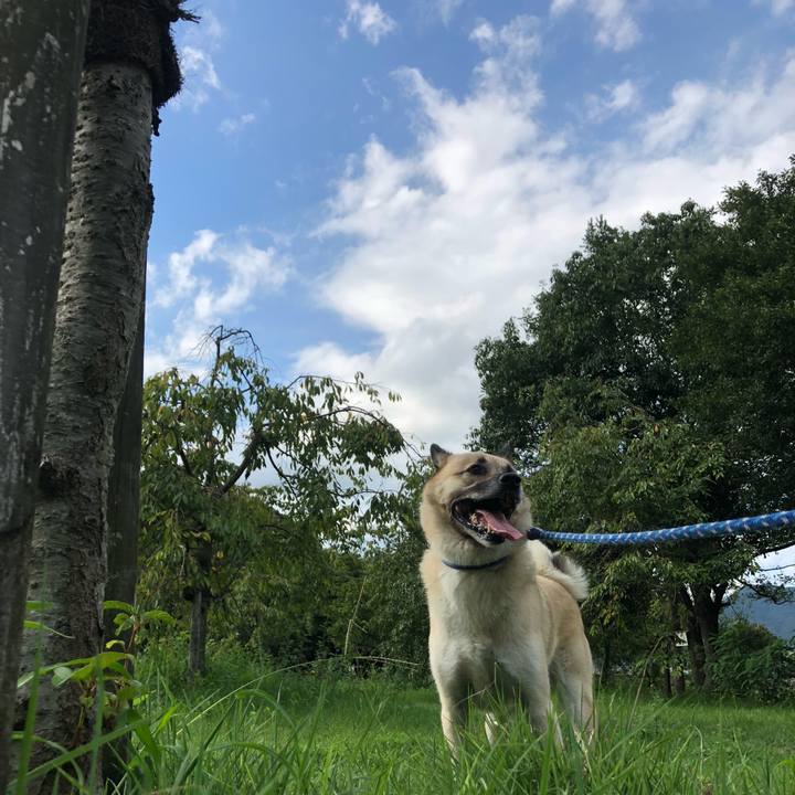 4291df83 a9c2 4154 8a36 bbcecf329d4e 1630064997706