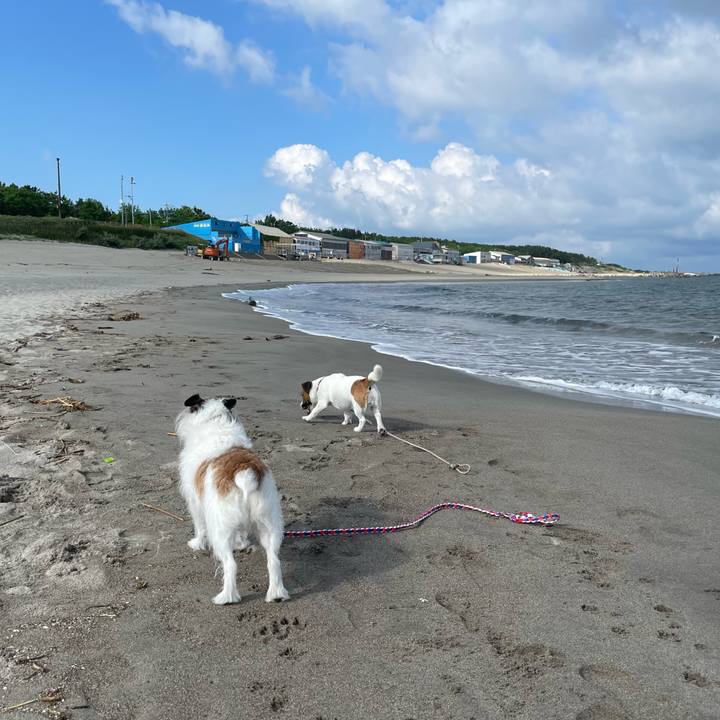 42920525 d18a 40e7 84ae e0d75d057918 1718754659481