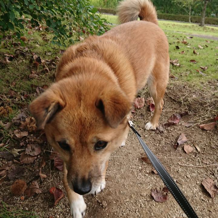 42926394 042c 4ea9 b2ef 1065ec4d4ac4 1632918141559