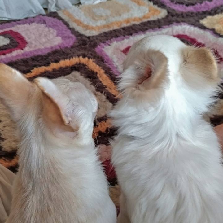 4292922f 8bac 4a91 b47c 996df41ebcc0 1756118262442